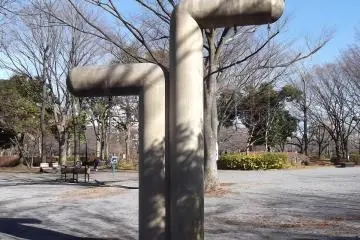 <p>I saw one elderly man hanging upside down from this exercise frame</p>
