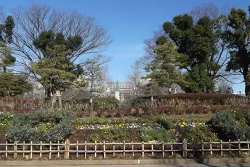 <p>Flowers at the southern entrance to the northern part of the park</p>
