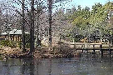 <p>In the southern part of the park</p>
