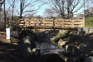 <p>A little stream connects the two ponds</p>
