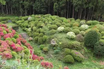 <p>Scenery at Yamanaka-jo Castle Park</p>
