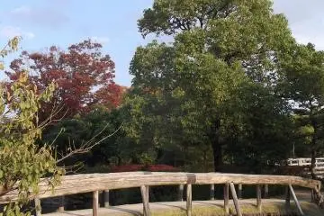 Handsome bridges span the channels between ponds
