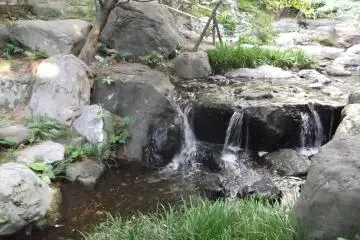 There are small falls along that stream

