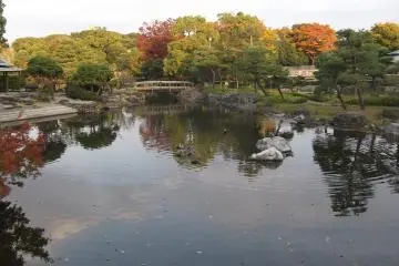 Watch the sky in the water