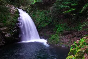Akame 48 est en fait composé de plus de 48 chutes d'eau, mais le nombre 48 signifie "nombreuses"