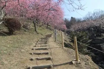 茨城筑波山之游