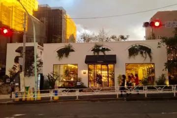 Gallery image