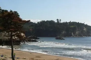 <p>Magnifiques c&ocirc;tes dans la baie de Matsushima
&nbsp;</p>
