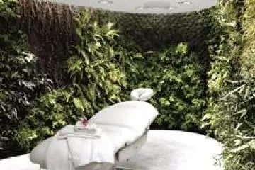 <p>Qantas and oneworld Platinum Guests are treated at a Payot Paris day spa, but only until 5pm</p>