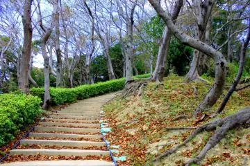You won't really mind the long walks because the views around you are relaxing and breathtaking