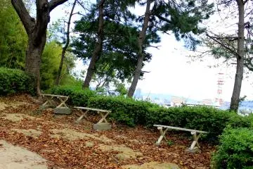 There are several benches everywhere, good spots to sit and and relax, and breathe in the fresh air