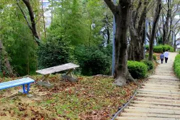 When you get tired from your ascent, you may sit on the benches by the bushes and trees beside the concrete stairs
