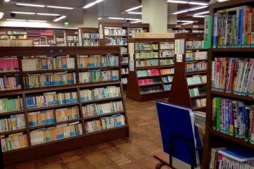 Gallery image