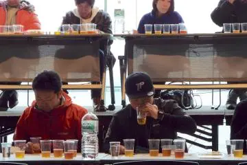 <p>Competition judges</p>
