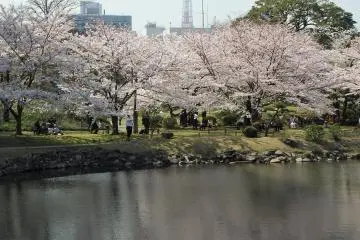 http://teien.tokyo-park.or.jp/en/kyu-shiba/index.html
