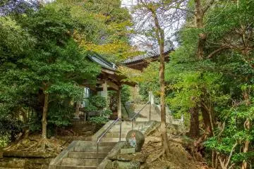A series of stone staircases descends down a hill leading to the main entrance which is at street level


