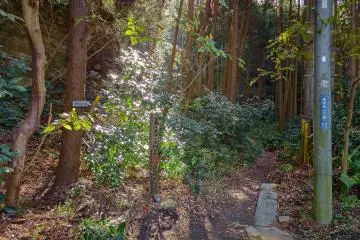 The trailhead
