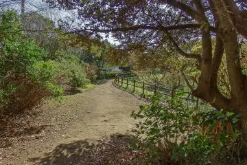 Panorama-Dai, located close to the official end of the Kinubariyama Hiking Course


