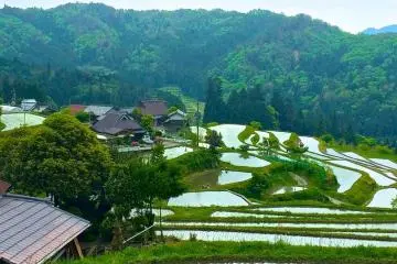Visit a traditional Japanese household and learn how to make a country-style lunch