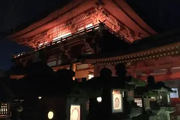 Stone lanterns leading up to the main sanctuary 