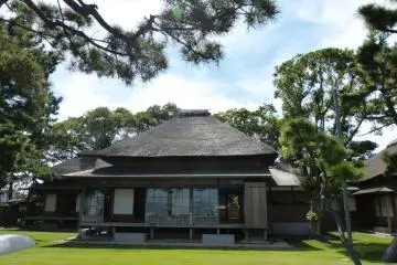 Gallery image