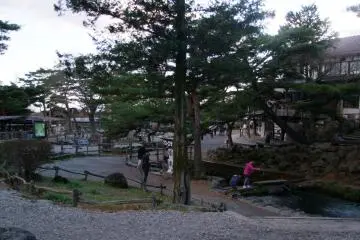 Berkeliling peternakan