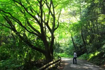 Ascending Mt Kanuki's pavement that welcomed us with a magnificent view