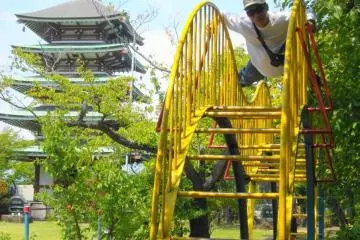 The 5-story pagoda on the background. Notice the large bird on the jungle gym? He is the rare chiroptera - a bat - BATMAN!