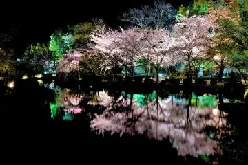 Reflections over a lake