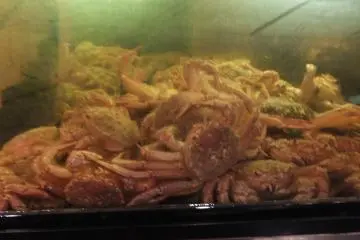 Live crabs in the tank