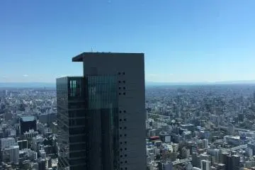 Second exemple de vue depuis le café