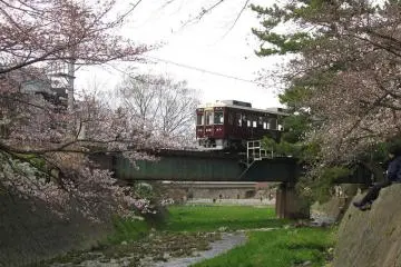 Photo: <a href="http://ja.wikipedia.org/wiki/%E3%83%95%E3%82%A1%E3%82%A4%E3%83%AB:Hankyu6000_6021F_sakura.jpg" target="_blank" rel="noreferrer noopener nofollow">Resident of higashi-fuchu</a>