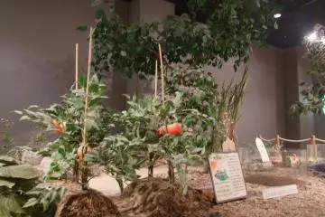 The science of plantlife