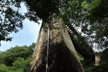 มองขึ้นไปยังสะพานรถไฟ 