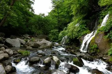 น้ำตกเป็นภาพที่สวยงามมาก
