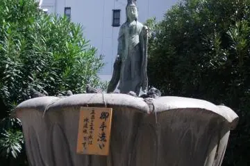 Looking on from above