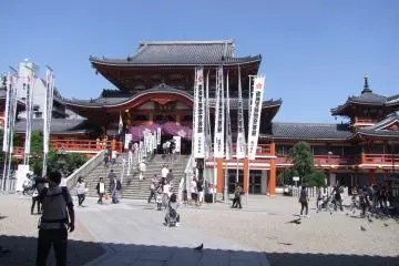 A look from the back