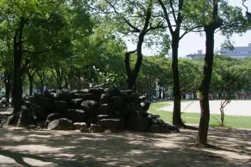 그늘을 찾다