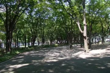 산책하기에 평화로운 곳