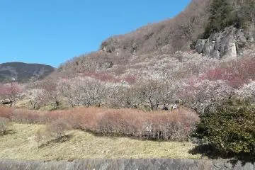 Makuyama Park