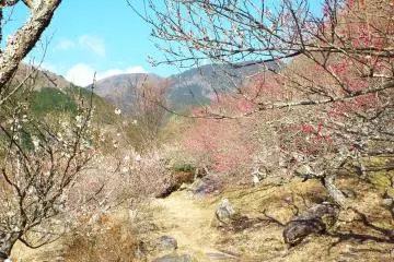 Hiking Mt Makuyama