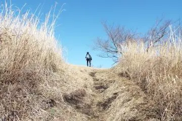 Miwa at the summit 