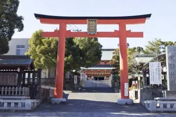Gallery image