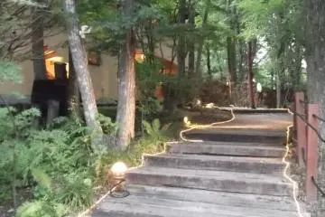 <p>The path through the trees to the restaurant</p>