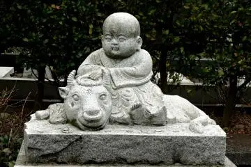 ปีฉลู