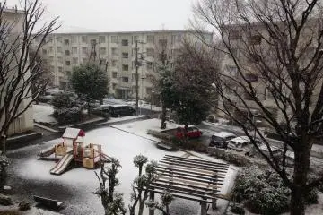 Salju pertama turun pada Januari 2015 di Hamura Danchi, Fujimidaira