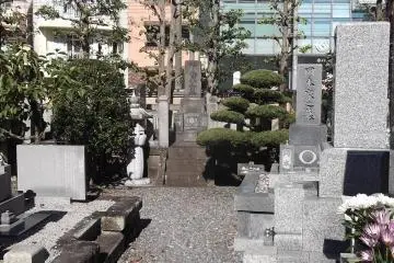 In the graveyard