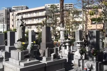 The peaceful graveyard