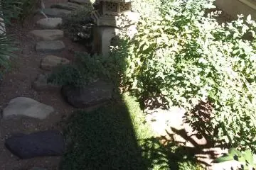 The very small temple garden