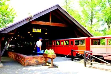 This is where the train stops after going around the 50-hectare park so the next passengers can have their turn
